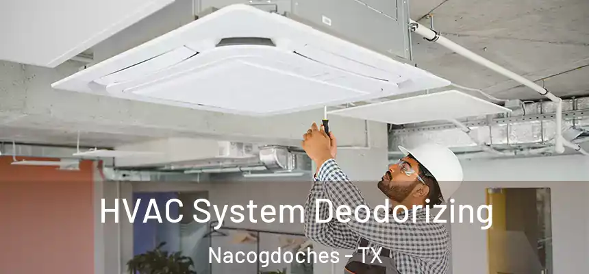 HVAC System Deodorizing Nacogdoches - TX